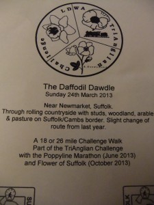 Daffodil Dawdle